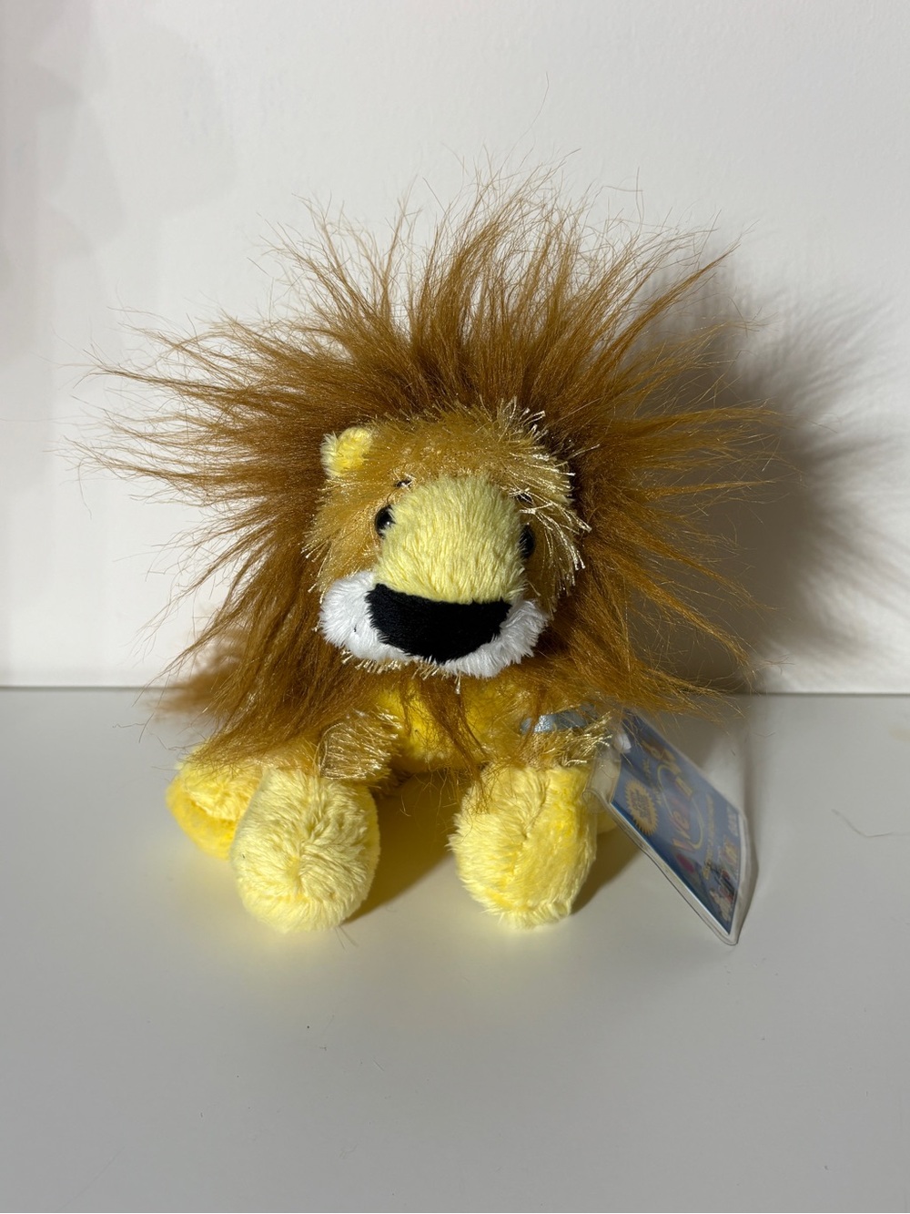 Lil’ Kinz lion 🦁